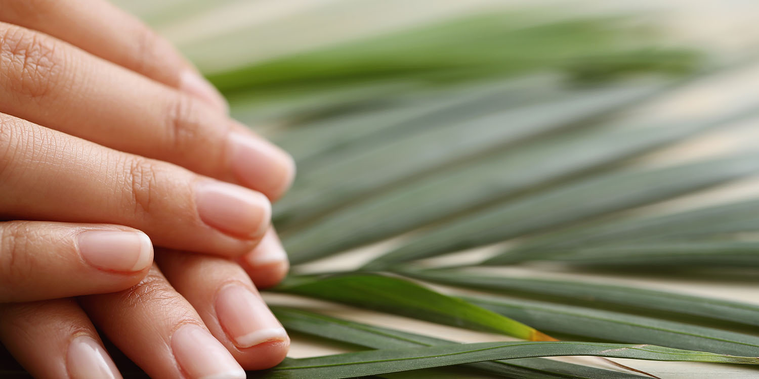 Herbal Pain Remedy for Irritated Skin